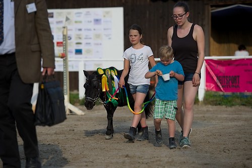 EGG_I_20160527_MHE0842