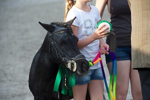 EGG_I_20160527_MHE0844