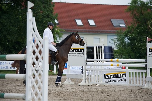 ST027 (EGG_I_20160527_MHE8127)