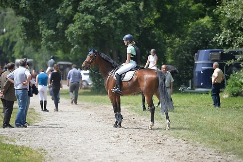 EGG_I_20160527_MHE9488