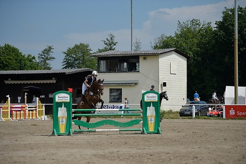 EGG_I_20160527_MHE9500