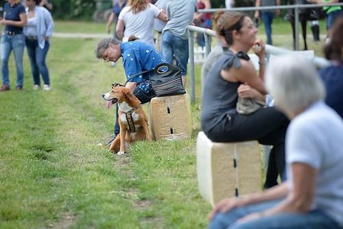 EGG_I_20160527_MHE9609