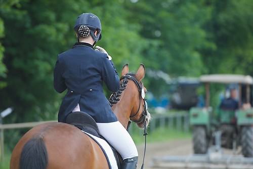 EGG_I_20160527_MHE9677