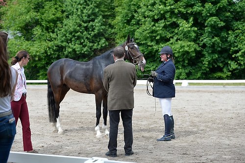 EGG_I_20160527_MHE9719