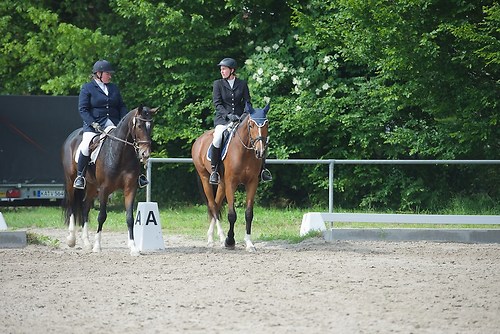 EGG_I_20160527_MHE9833