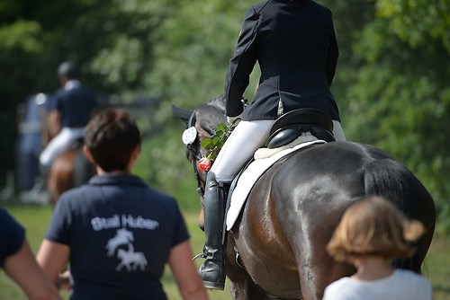 EGG_I_20160527_MHE9894