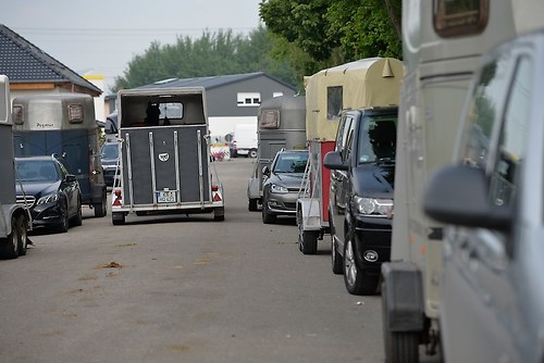 EGG_I_20160528_MHE1417