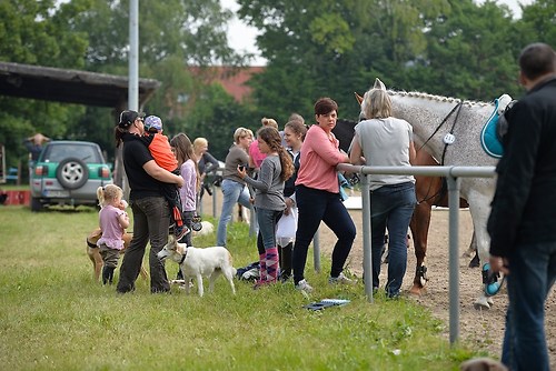 EGG_I_20160528_MHE1418