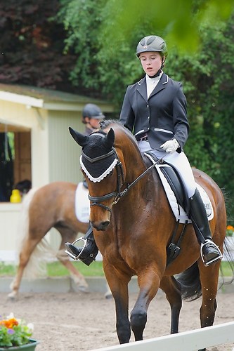 ST562 (EGG_I_20160528_MHE1624)