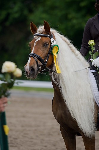 EGG_I_20160528_MHE1734