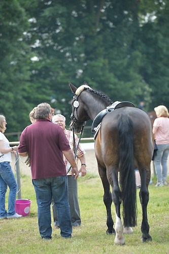 EGG_I_20160528_MHE1770