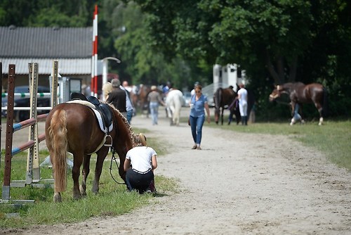 EGG_I_20160528_MHE2139