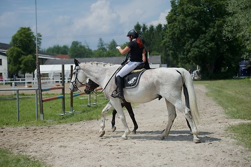 EGG_I_20160528_MHE2379