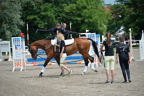 EGG_I_20160528_MHE2391