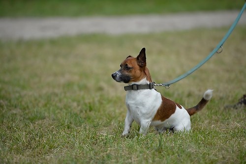 EGG_I_20160528_MHE2446