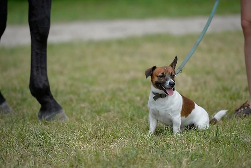 EGG_I_20160528_MHE2449