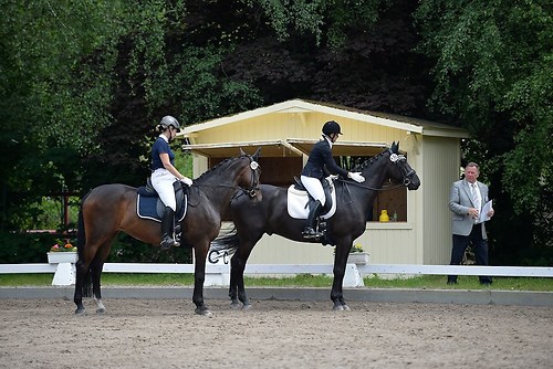 EGG_I_20160528_MHE2451