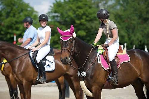 ST438 (EGG_I_20160528_MHE2998)