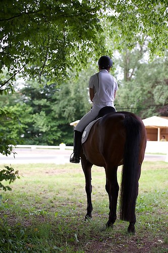 EGG_I_20160528_MHE3282