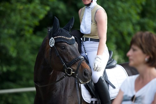 EGG_I_20160528_MHE3506