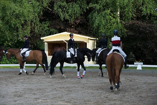 EGG_I_20160528_MHE3581