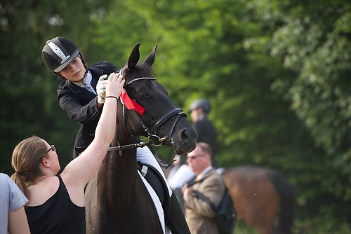 EGG_I_20160528_MHE3630