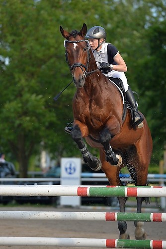 ST760 (EGG_I_20160528_MHE3644)