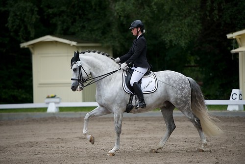 ST444 (EGG_I_20160529_MHE5449)