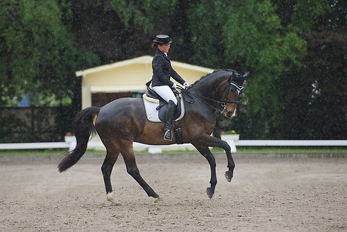 EGG_I_20160529_MHE6110