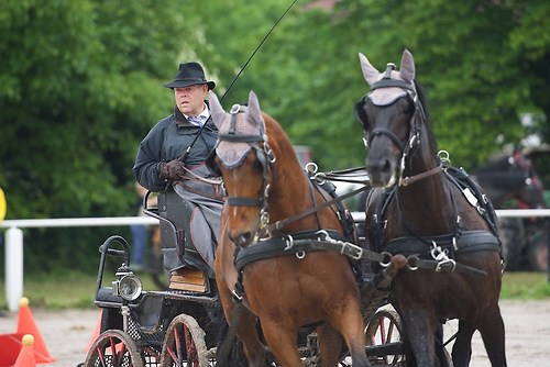 G01 (EGG_I_20160529_MHE6352)