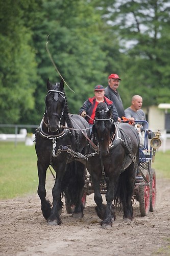 G04 (EGG_I_20160529_MHE6410)