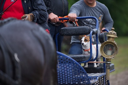 G04 (EGG_I_20160529_MHE6431)