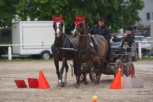 G02 (EGG_I_20160529_MHE6560)