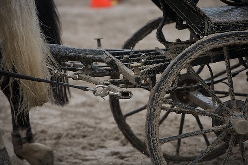 G05 (EGG_I_20160529_MHE6709)