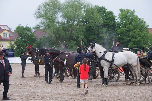 G05, G03 (EGG_I_20160529_MHE6748)