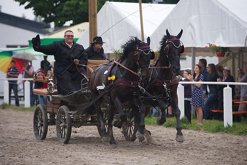 G03 (EGG_I_20160529_MHE6796)