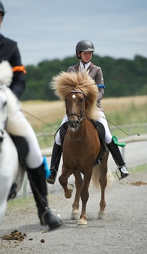 Münz_5blau_20160703_MHE8759