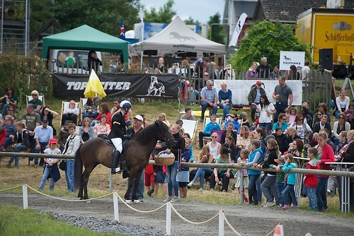 Münz_5gelb_20160703_MHE8728