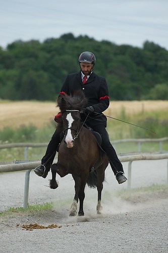 Münz_5rot_20160703_MHE8761