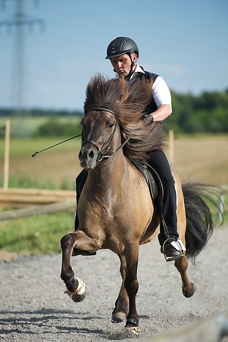 Münz_20160701_MHE8494