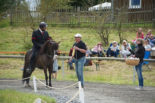 Münz_20160703_MHE8736