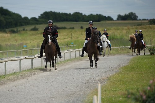 Münz_20160703_MHE8742