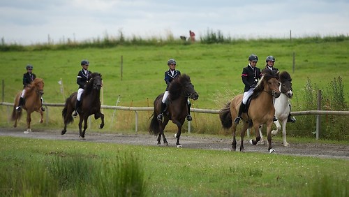 Münz_20160703_MHE8862