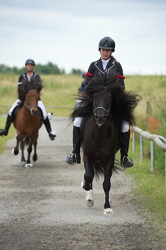 Münz_20160703_MHE8994