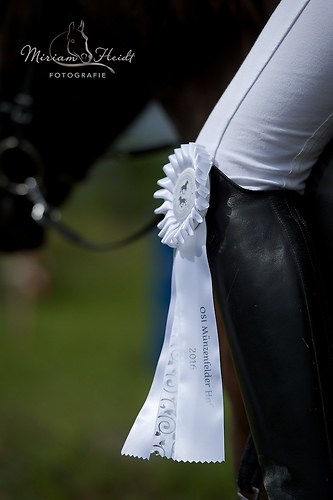 Feng_20160703_MHE8903