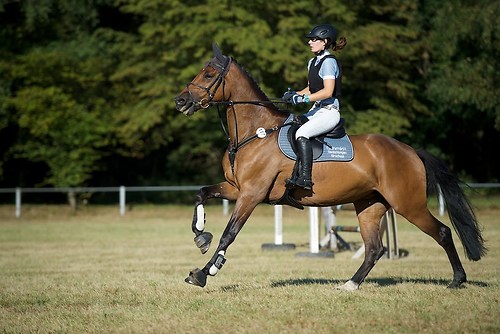 Frie_20160827_MHE1342