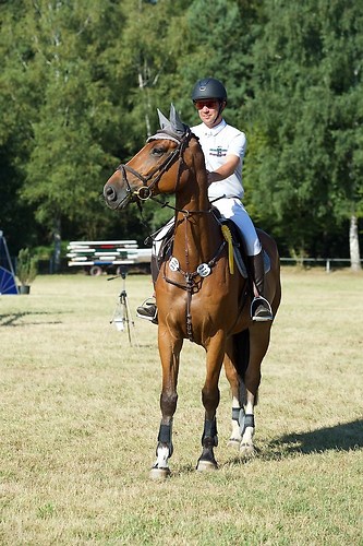 Frie_20160827_MHE1688