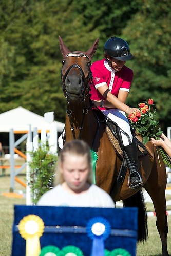 Frie_20160827_MHE1706