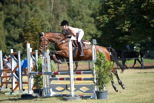 Frie_20160827_MHE1829