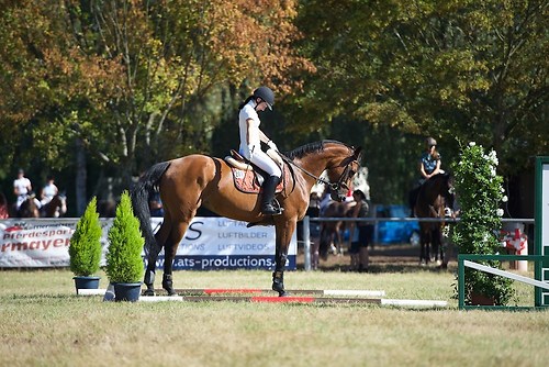 Frie_20160827_MHE2021